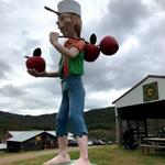 Johnson's Orchards