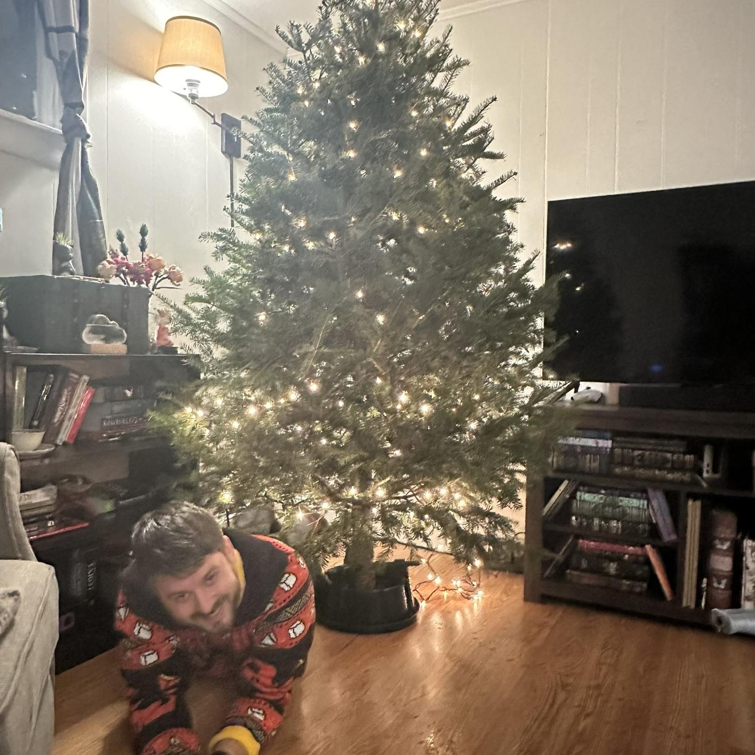 "I'm your Christmas present."- Matthew as he proceeds to wiggle his way under the tree.