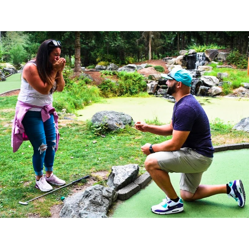 The Proposal
