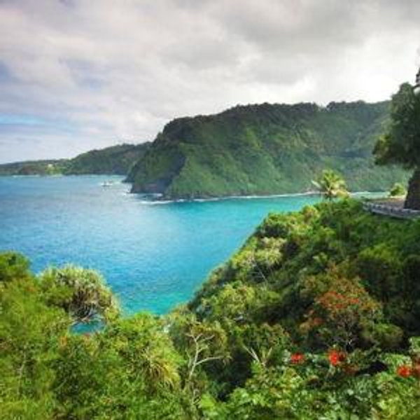 Honeymoon in Hawaii fund