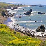 Shell Beach