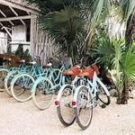 Explore Tulum beach by bike