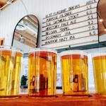 Phoenix Bars