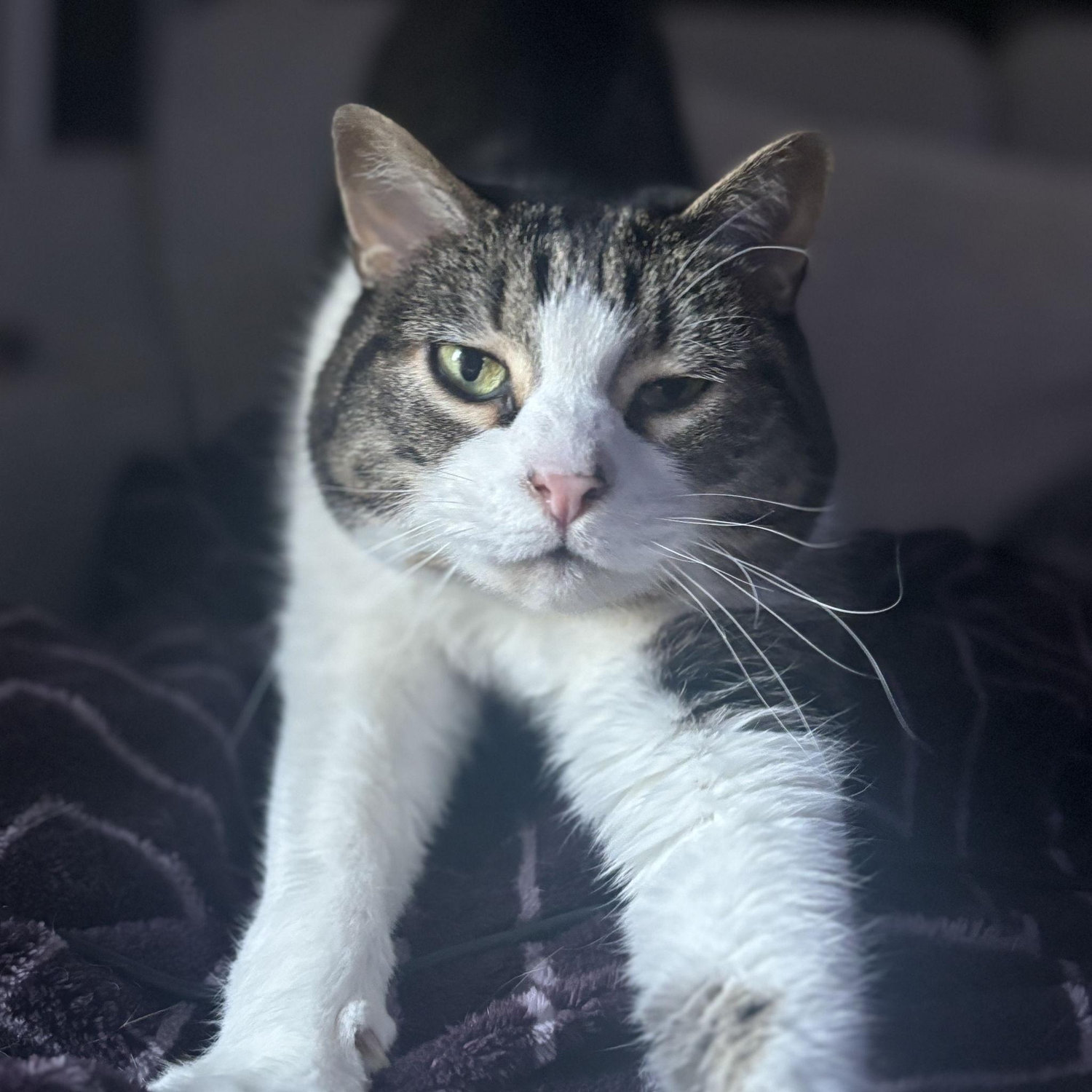 Josephine "Bean"