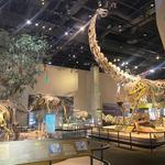 Perot Museum of Nature and Science