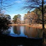 Pocomoke River State Park