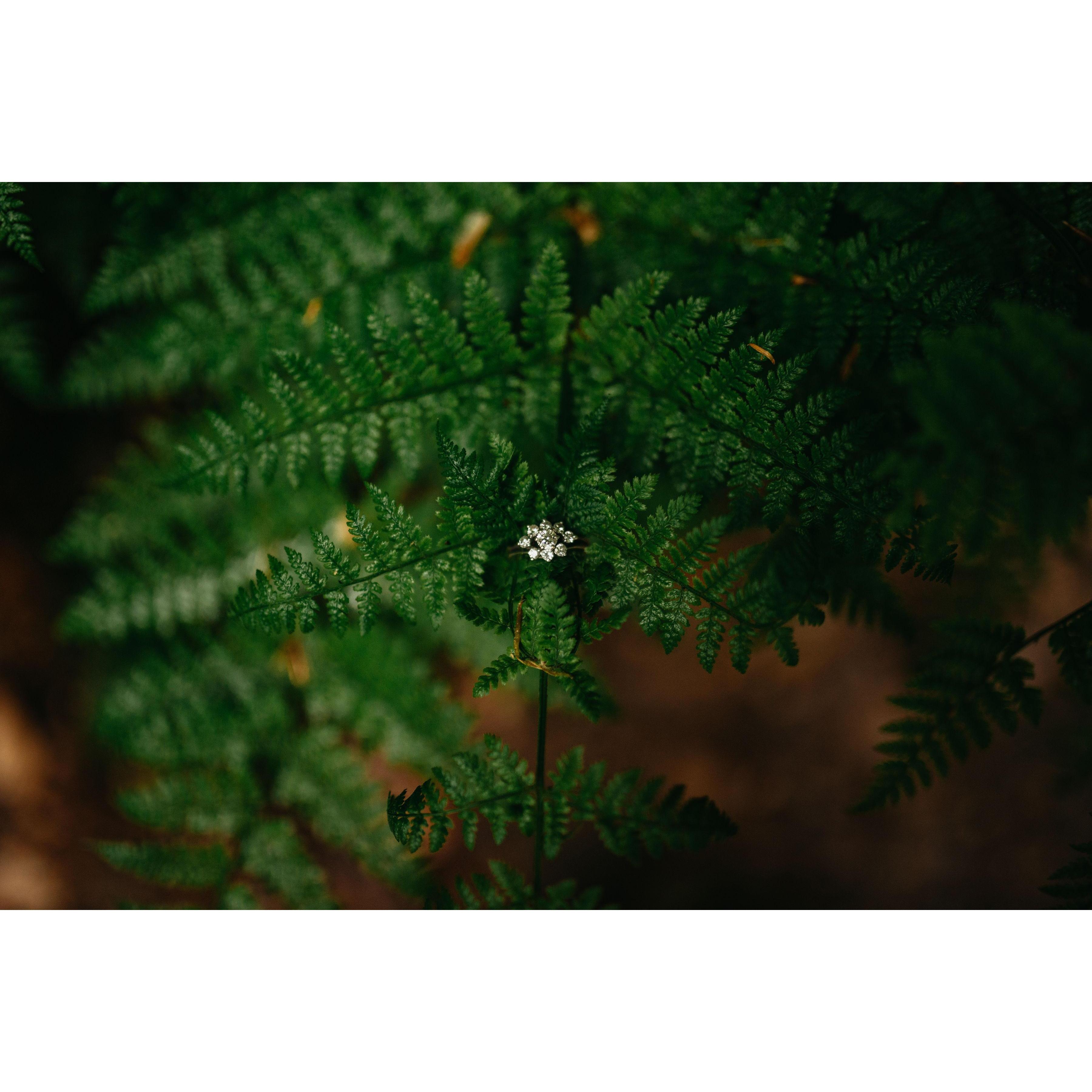 The most beautiful ring in the world.