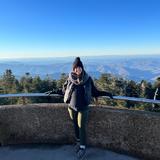 Clingmans Dome