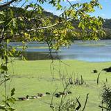 The Nature Place & Walking Trails