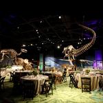 Orlando Science Center