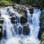 Ho'opi'i Falls Trailhead