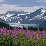 Mendenhall Glacier