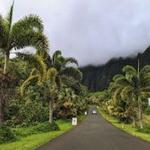 Hoʻomaluhia Botanical Garden