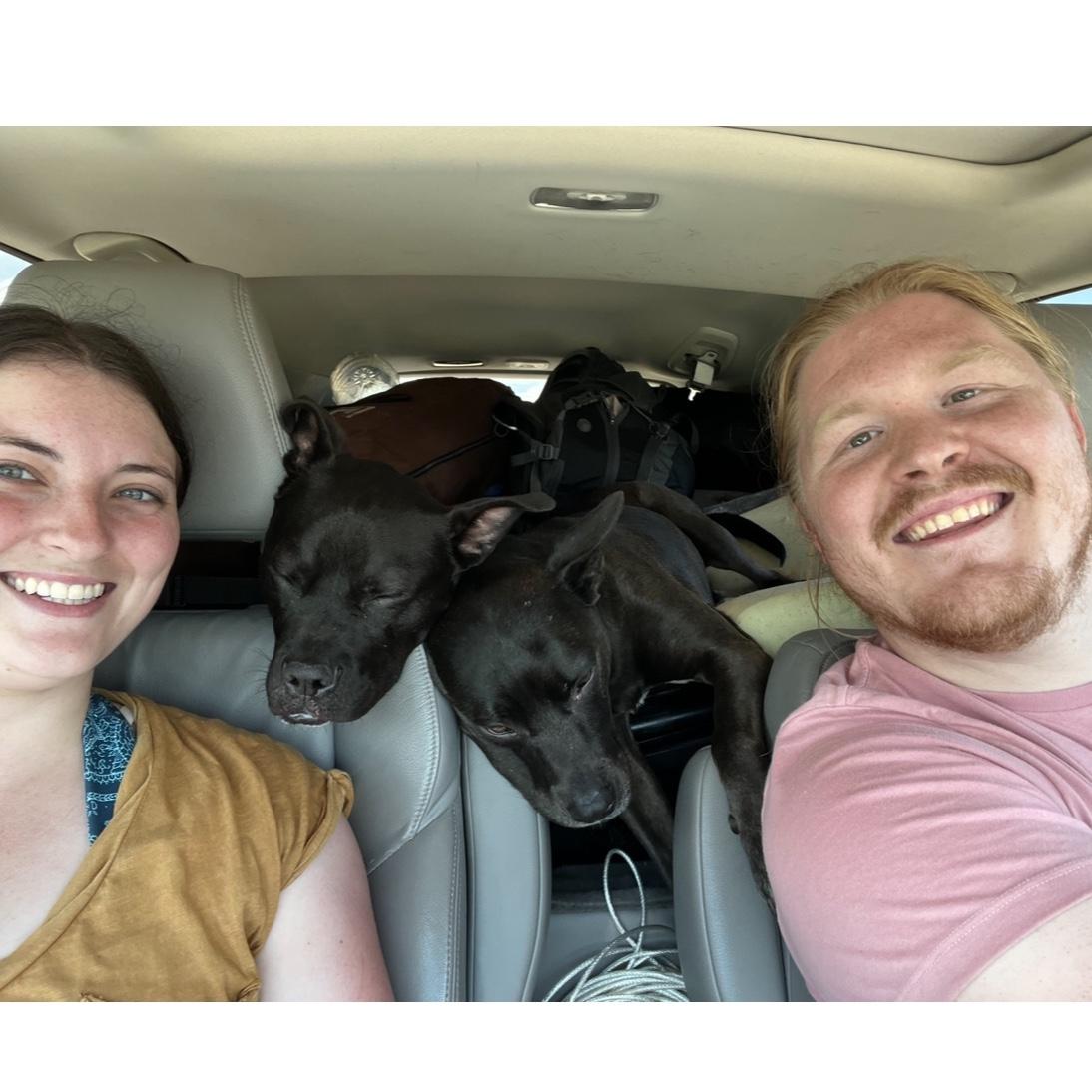 Second year camping together, and now with 2 dogs!