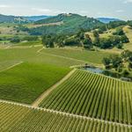 Hopland Wine Weekend