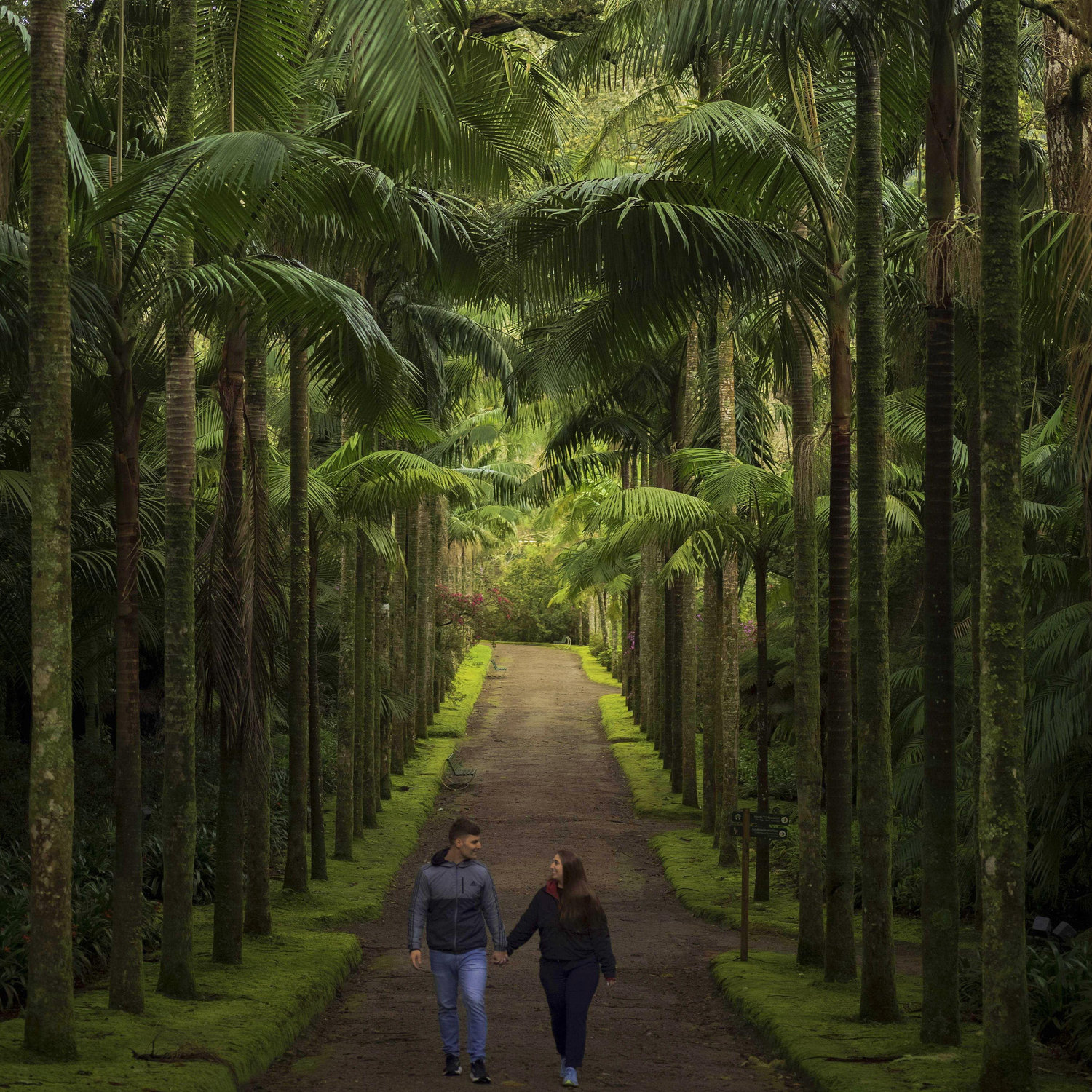 February 2025, São Miguel Island, Azores