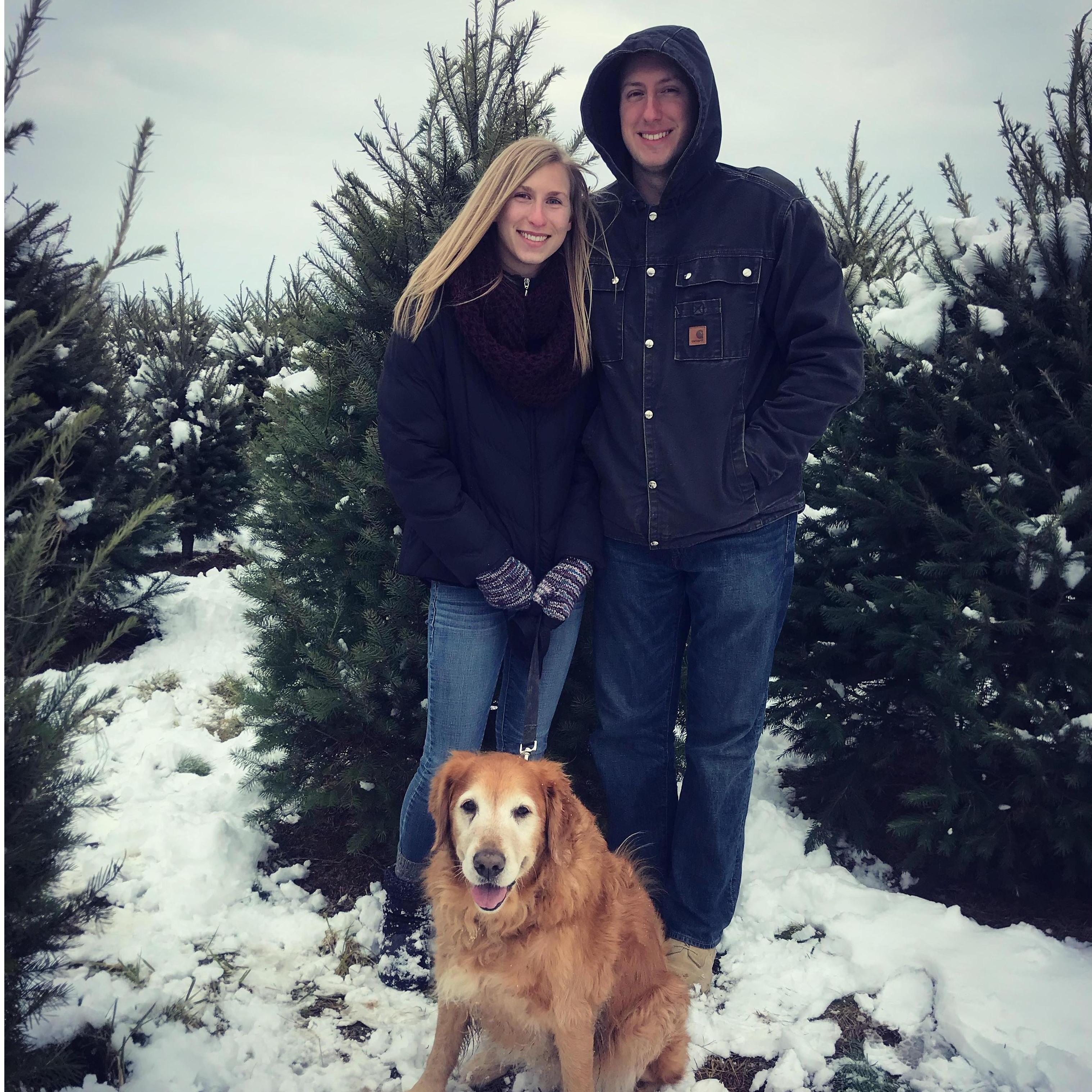 Hunting for the Christmas tree with Jazz - December 2017