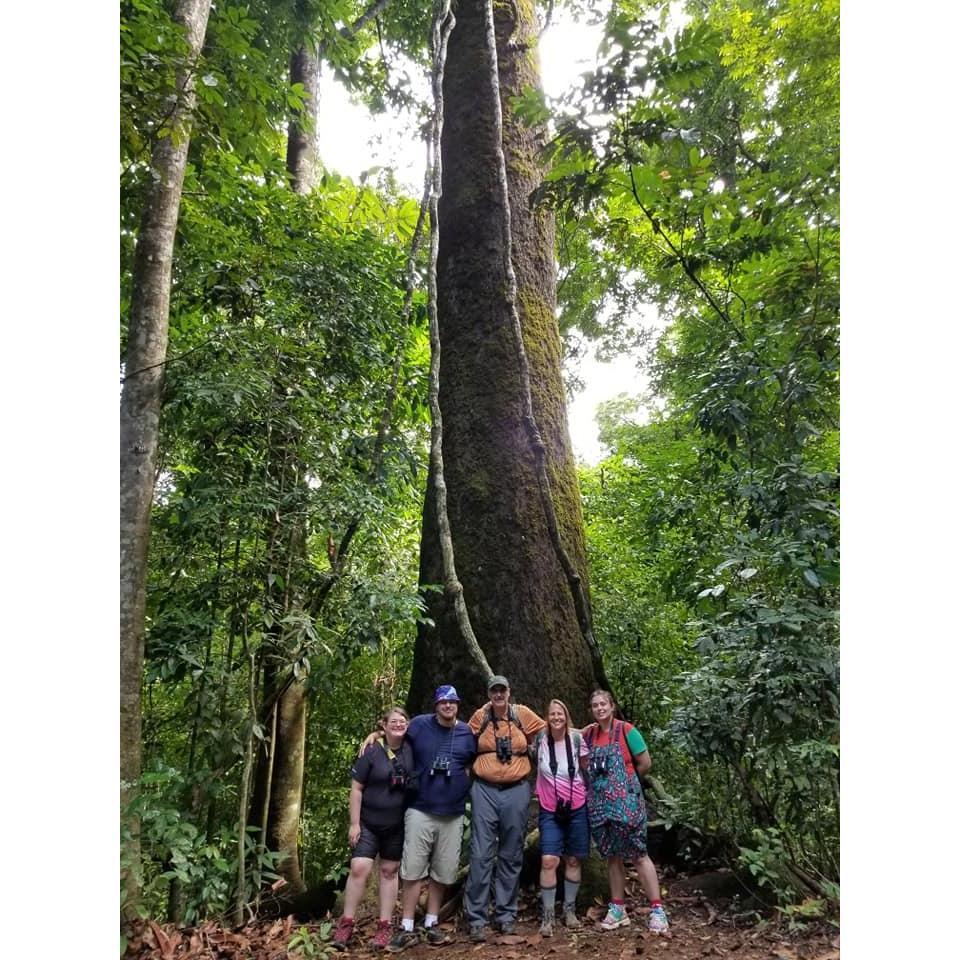 ~ 500 year old garlic tree on Costa Rica trip with the Cadorette family, 2021
