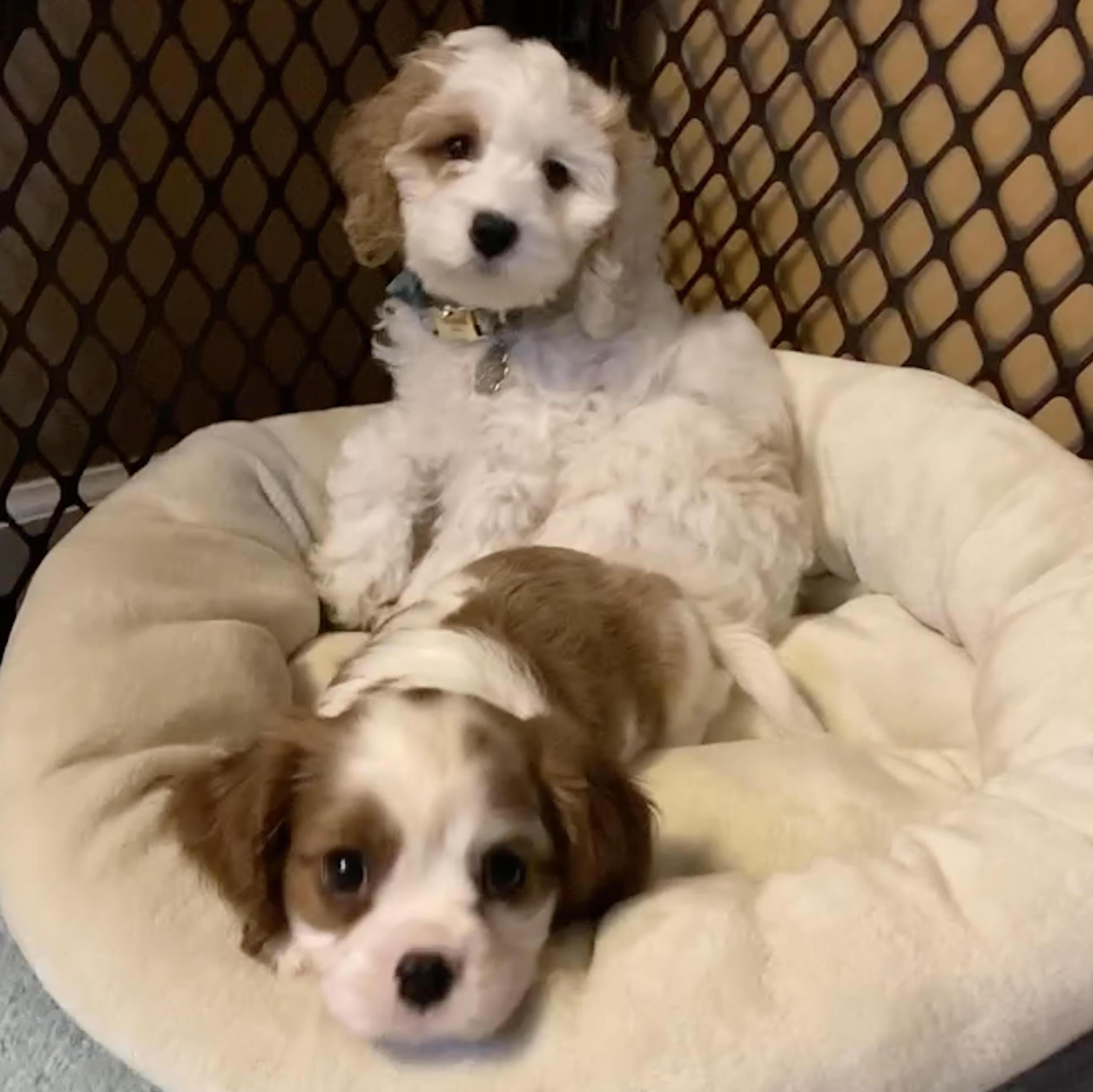 First day together.