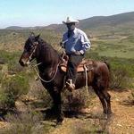horseback riding
