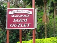 Tropical Farms Macadamia Nuts