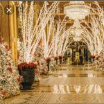 The Roosevelt New Orleans, A Waldorf Astoria Hotel