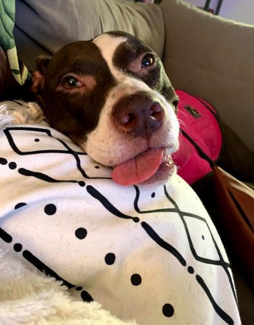 140c270d-1028-496a-81a4-29c763faaa8f