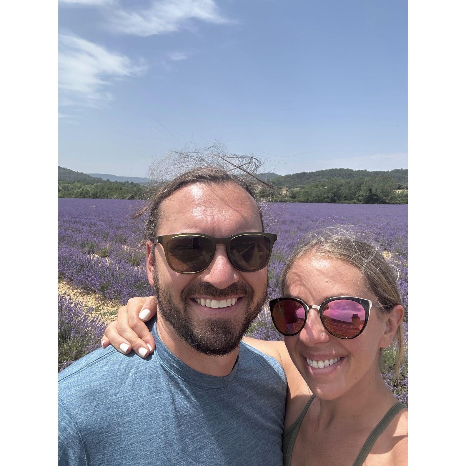 Lavender fields in Provence, France