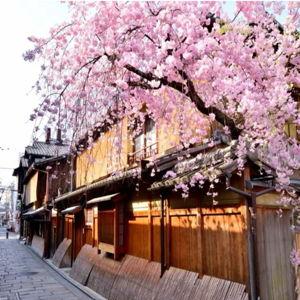 Gion Walking Tour