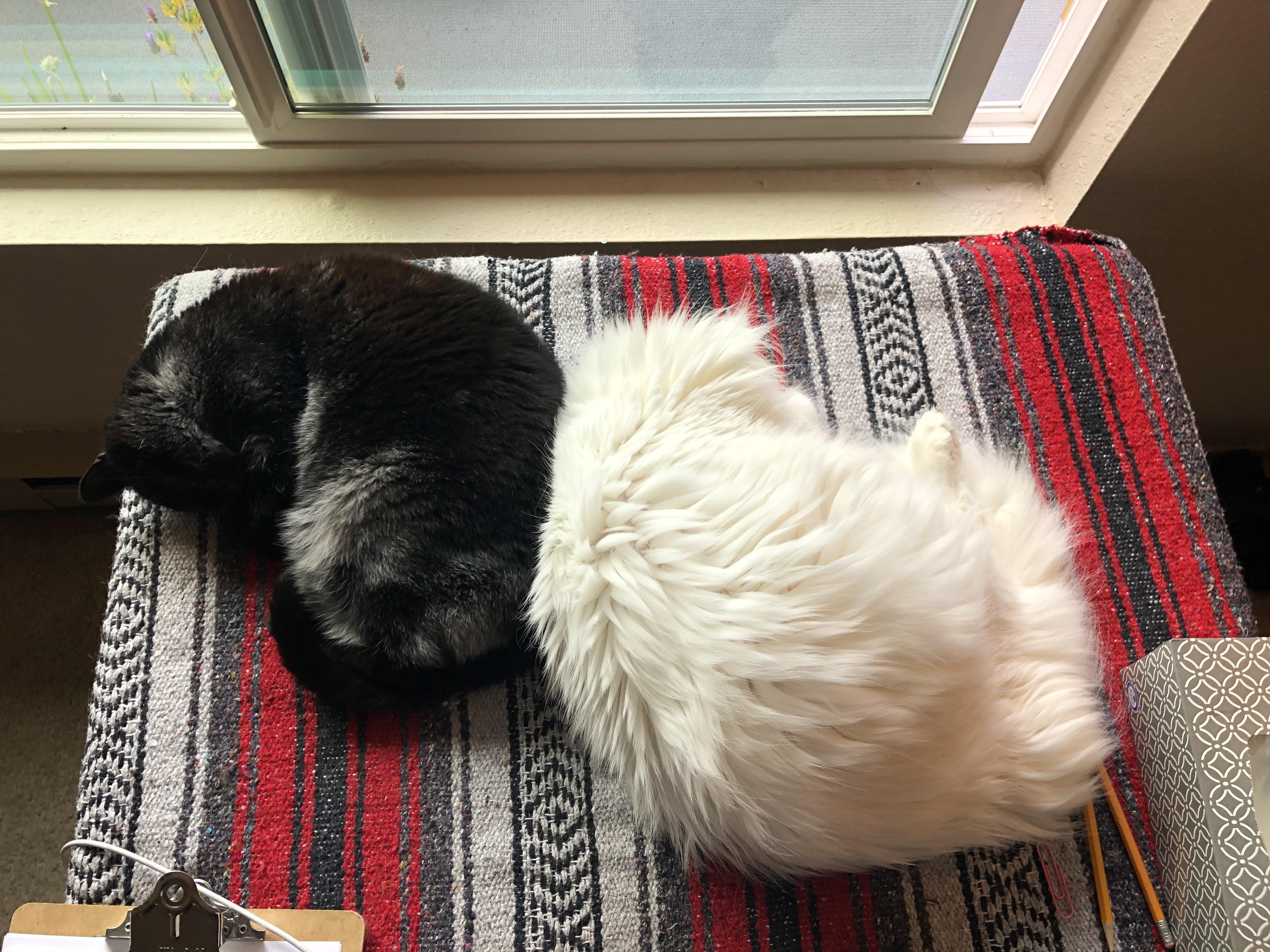 The Wedding Website of Kayla Romey and Alex Mason