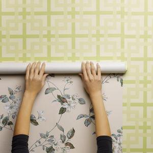 Home Renovation Fund