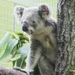 Indianapolis Zoo