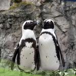 Mystic Aquarium