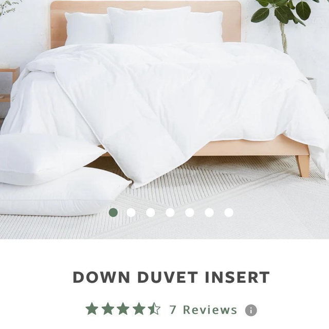 Down Duvet Insert