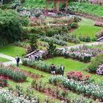 International Rose Test Garden