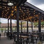 Third Culture Kitchen