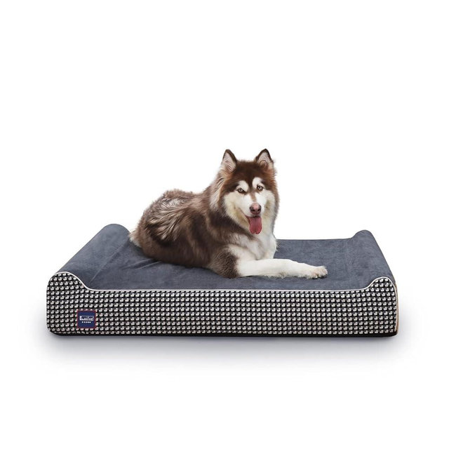 Laifug Orthopedic Memory Foam Extra Large Dog Bed with Pillow and Durable Water Proof Liner & Removable Washable Cover & Smart Design