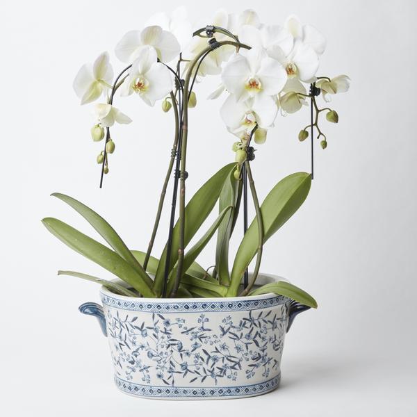 Blue and White Oval Chinoiserie Planter