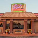 Jo-Jo's Italian Grille