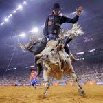 Houston Livestock Show and Rodeo