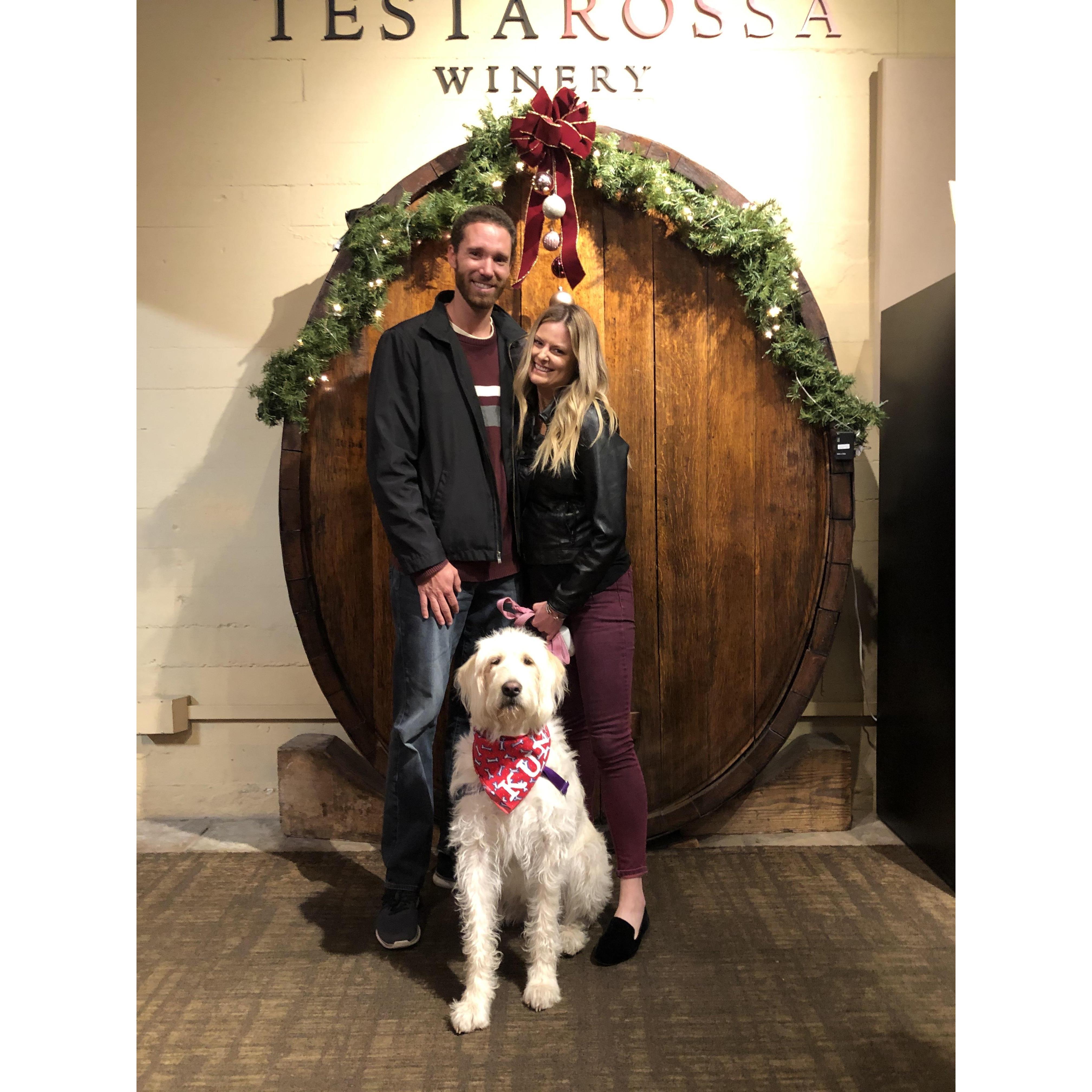Wine tasting at Testarossa Winery in Los Gatos, CA