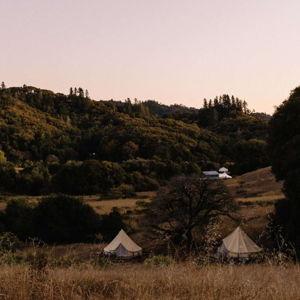 Pete - Fiddlehead Tent