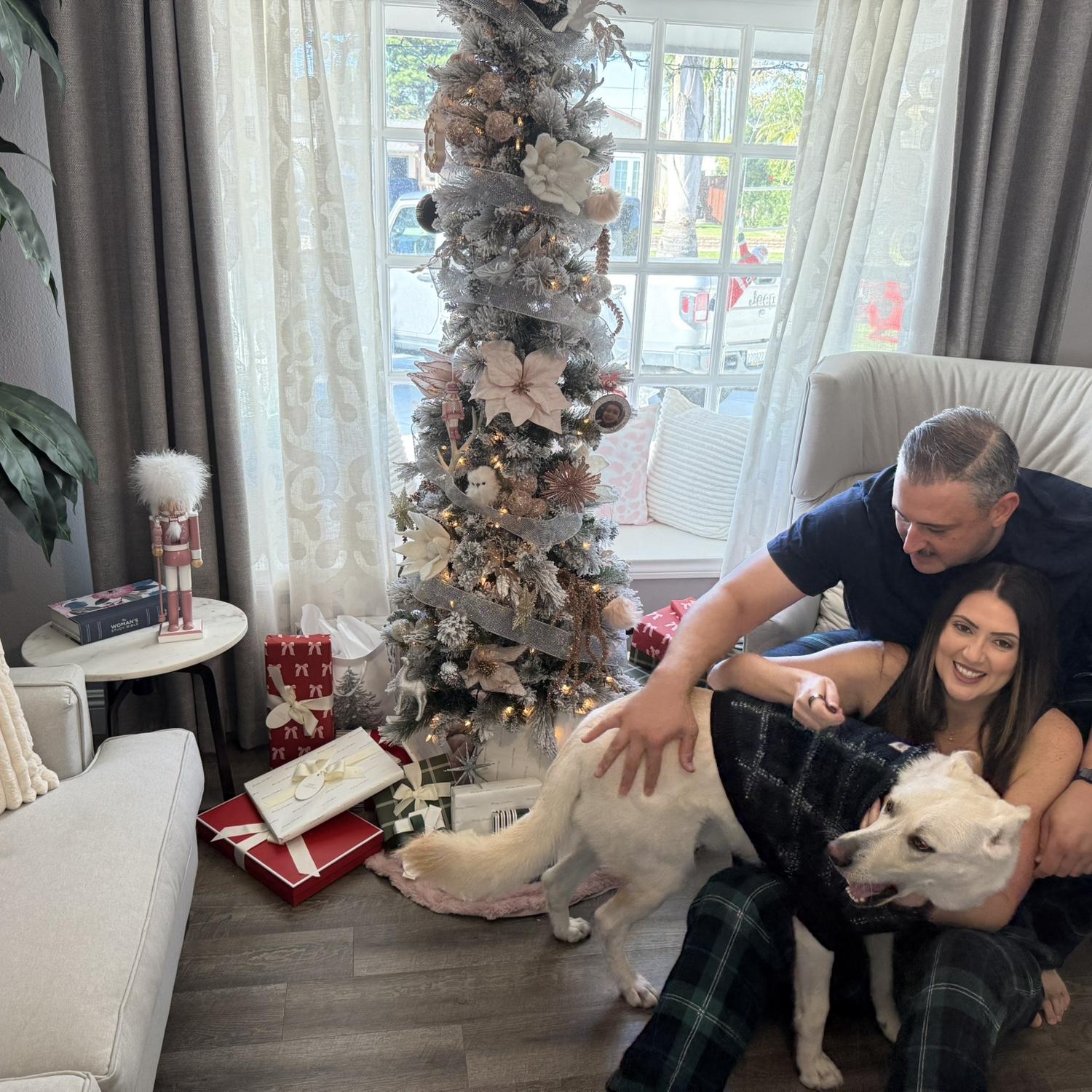 An attempt at holiday cards