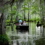 Cajun Encounters Tour Company