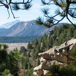 Spruce Mountain Trails