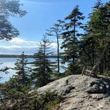 Boothbay Region Land Trust (Oak Point Farm)