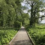 Farandnear Reservation