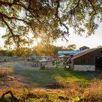 Jester King Brewery