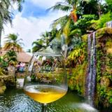 Schnebly Redland's Winery