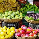 La Jolla Open Aire Farmers Market